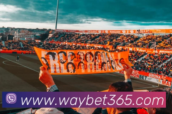 bet365APP 封面图